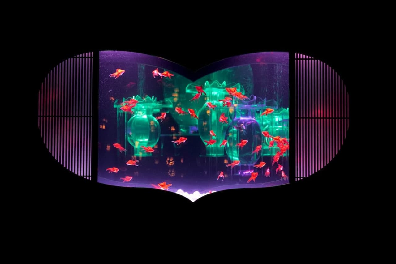 Art Aquarium Museum GINZA Ticket - image 11